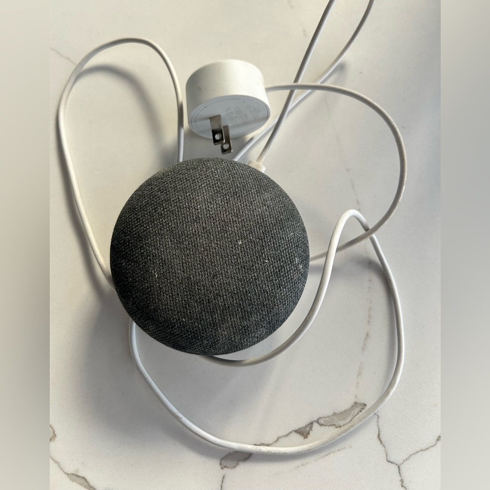 Google echo - first edition